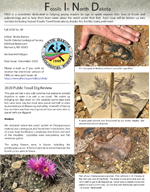 Cover of FIND newsletter 38