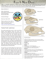 Cover of FIND newsletter 39