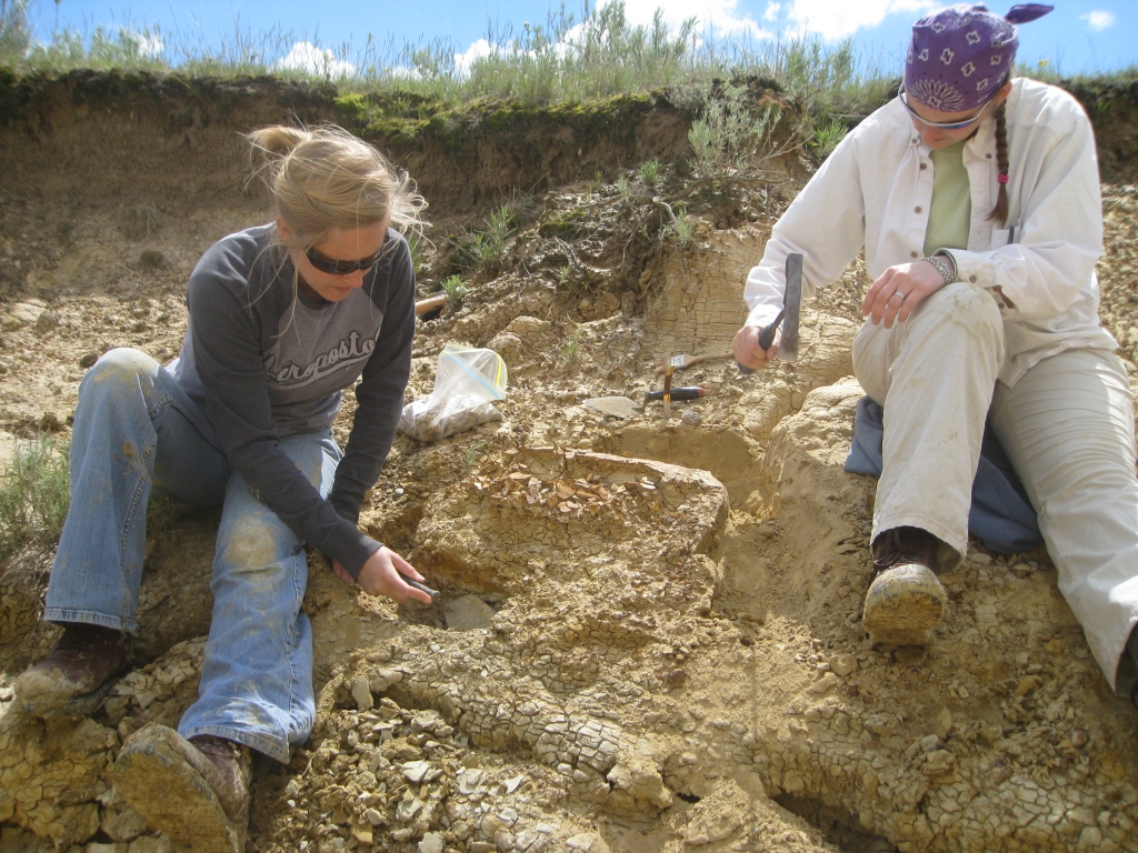paleontologist digging