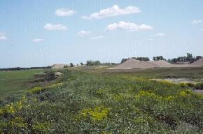 A sand and gravel pit in a spit deposit in Traill County. The beach deposits along the western edge of glacial Lake Agassiz are a source of sand and gravel in eastern North Dakota.Photo by D.P. Schwert, NDSU).